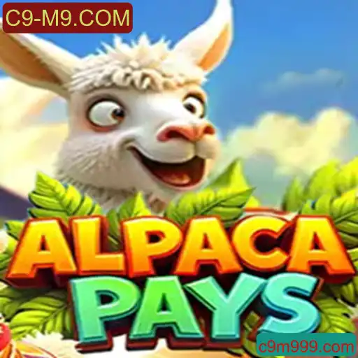 Descubra o Fascinante Mundo de AlpacaPays